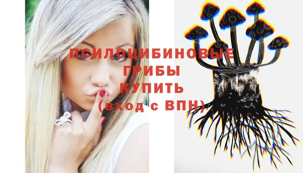 МДПВ Алексеевка