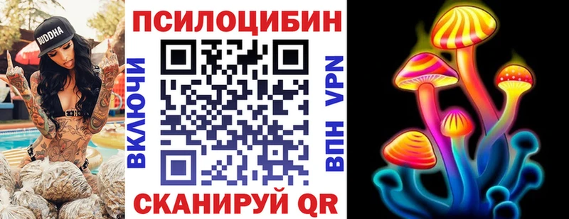 Галлюциногенные грибы Psilocybe  Пустошка 